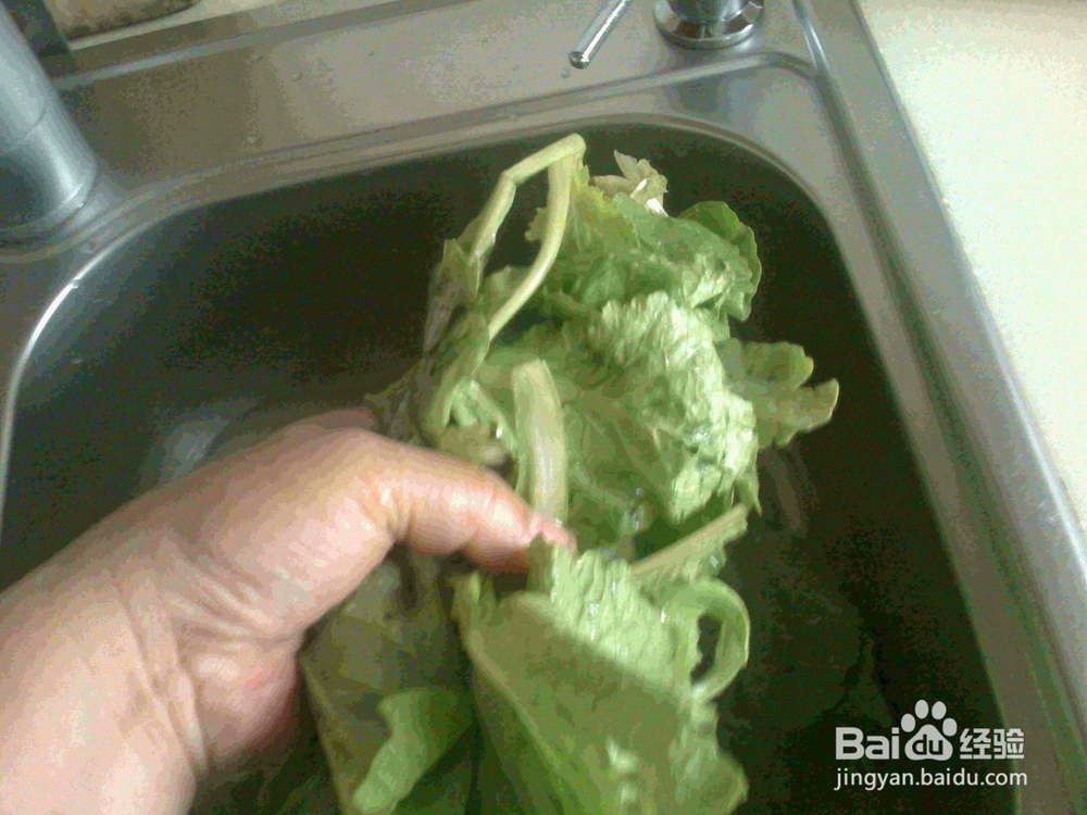 #美食#老年人怎样用淘米水泡洗小萝卜菜