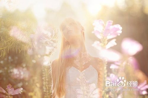 逆光照片怎么拍