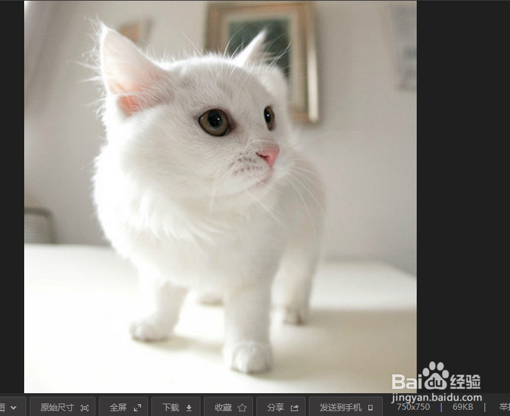 QQ空间无黄钻装扮