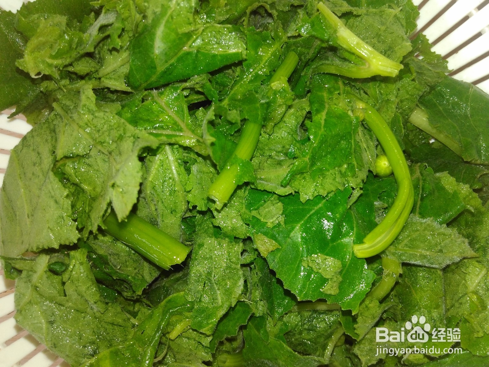 素炒南瓜苗的家常做法