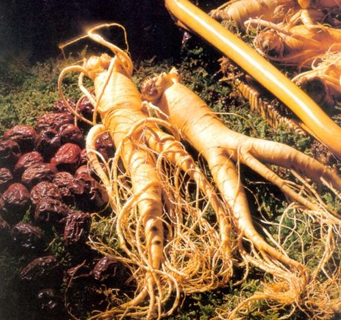 达州妇科专家告知人参服用有禁忌