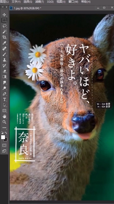 如何给图片去字？