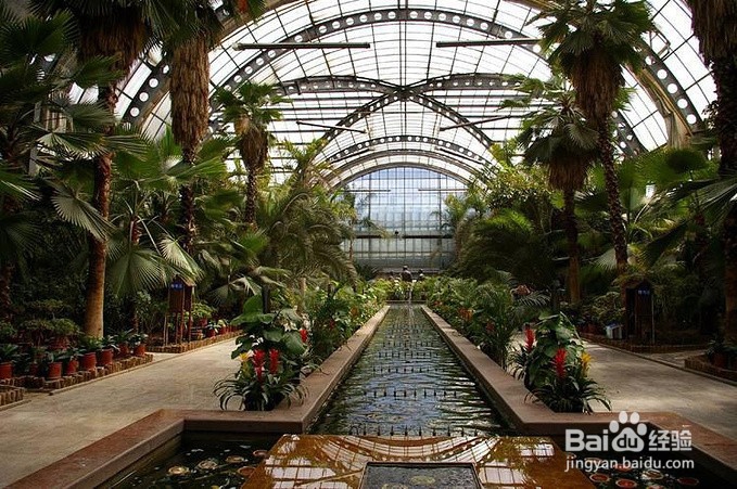 春节天津旅游攻略