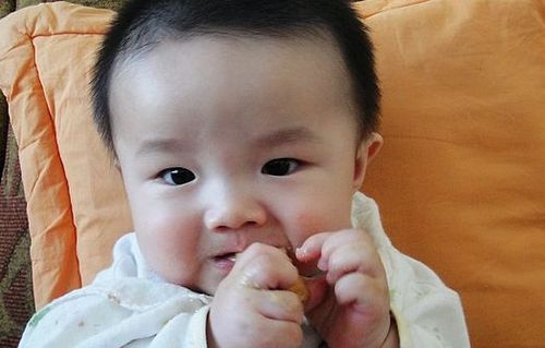 宝宝不爱吃饭该怎么办呢