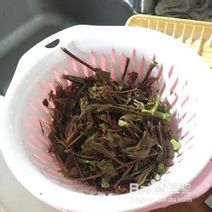 食补佳品香椿芽炒鸡蛋的做法