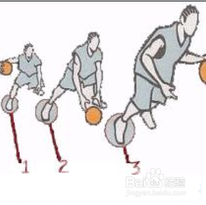 怎样学习打篮球?