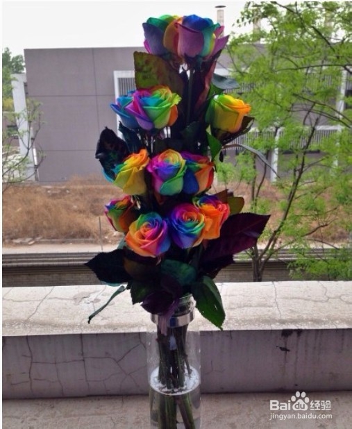 女朋友过生日送什么好