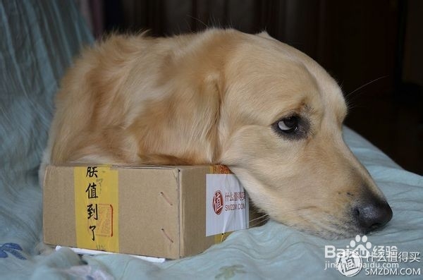 众测报告 酷壳智能手机壳(充电版)开箱使用体验