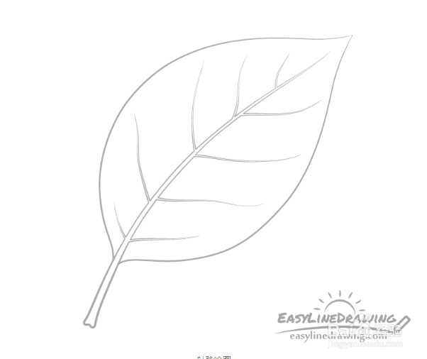 树叶叶脉画法图片