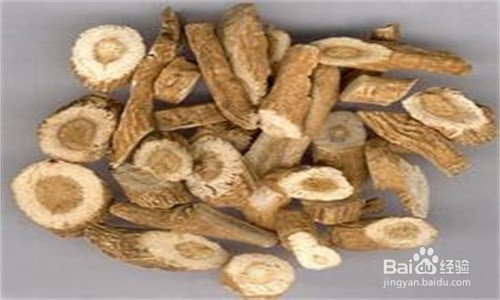 春病良药板蓝根