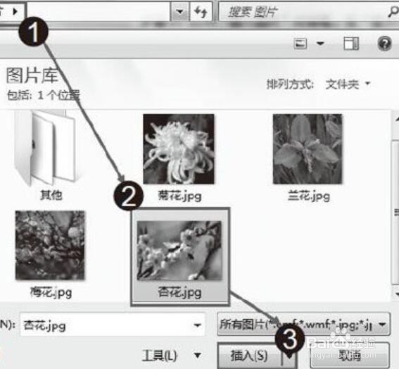 Word文档中插入图片