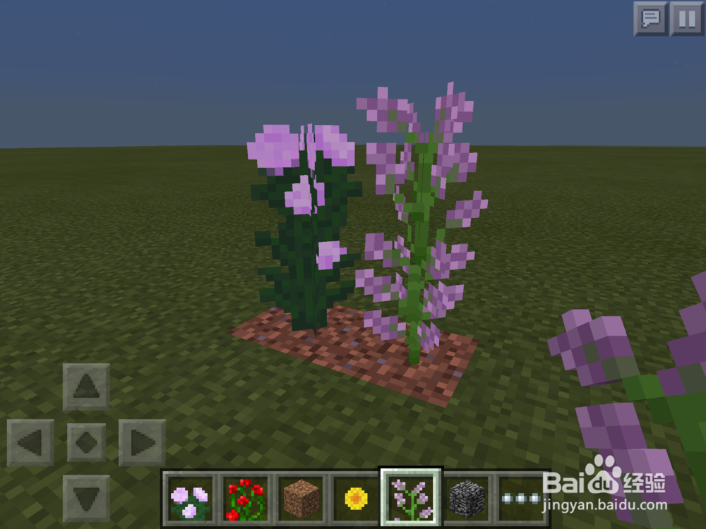 Minecraft如何破坏基岩