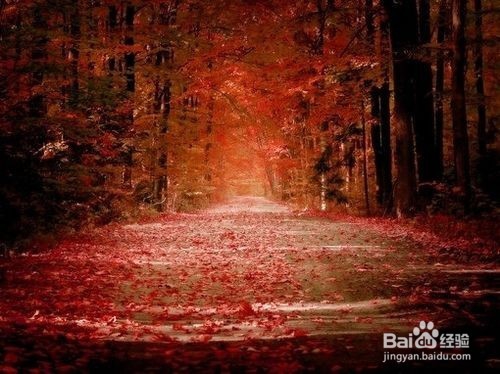 四十不惑什么呢？让我告诉你