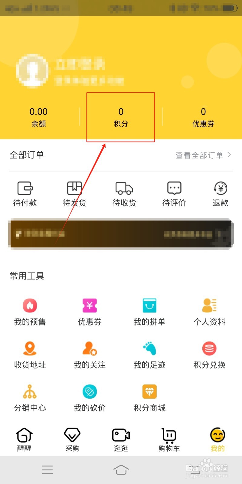 醒目购怎么查看积分