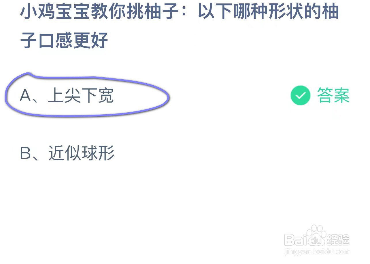 小鸡教你挑柚子哪种形状柚子口感好蚂蚁答案