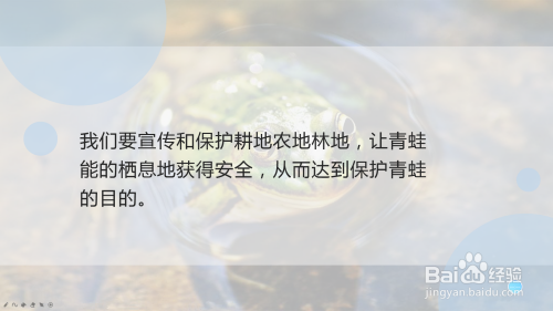 青蛙是益虫,我们应该怎样保护它