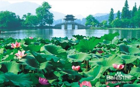 去杭州旅游可以去看看那些地方