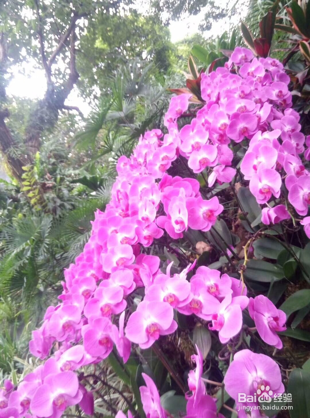 拍照对角线构图的方法