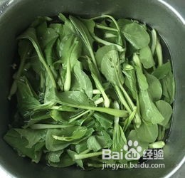 怎么炒小青菜？