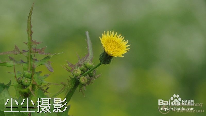 如何批量给图片添加水印