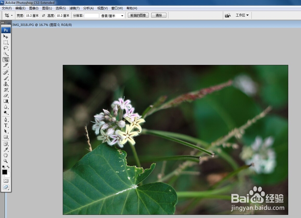 把照片变亮最简单的方法