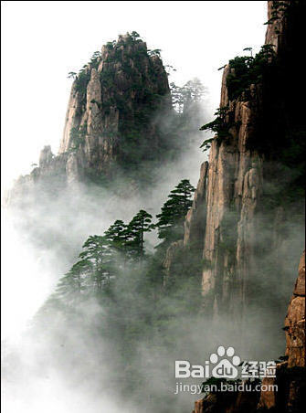 【我爱摄影】人间仙境：雾景拍摄技巧