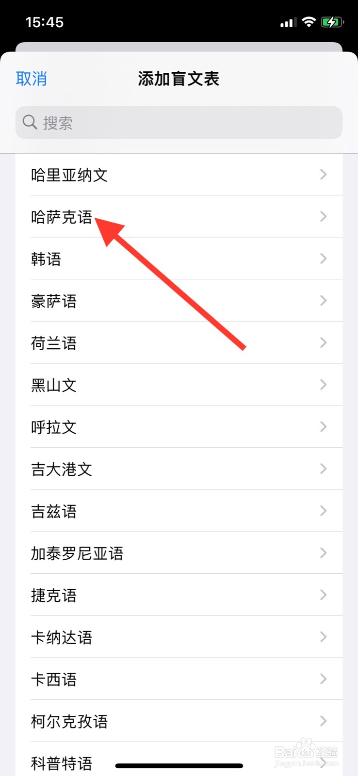 iPhone准许旁白盲文添加“哈萨克语”文表