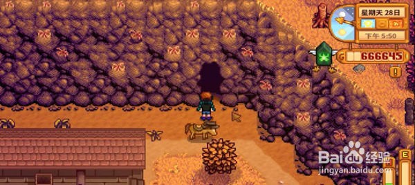 星露谷物语万灵节小屋进入方法