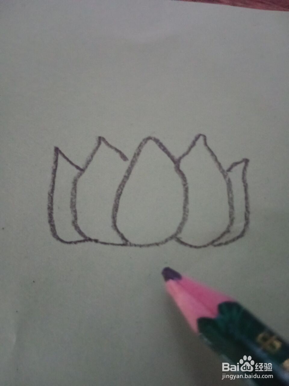 荷花的简笔画怎么画？