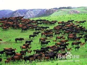 甘肃张掖旅游攻略必备知识