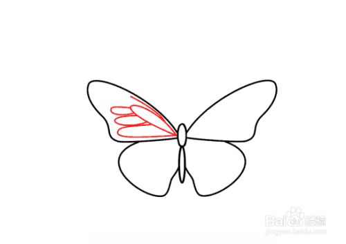 如何画一只蝴蝶