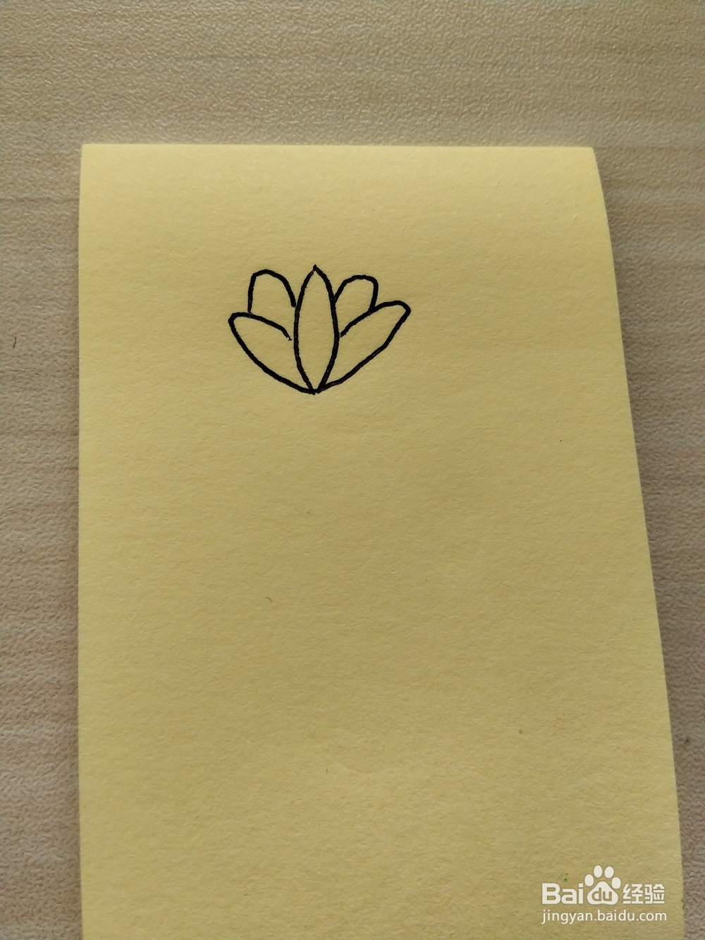 荷花的简笔画怎么画