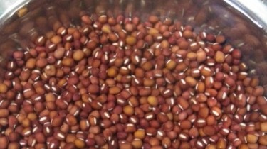 补气养生煮红豆怎么做