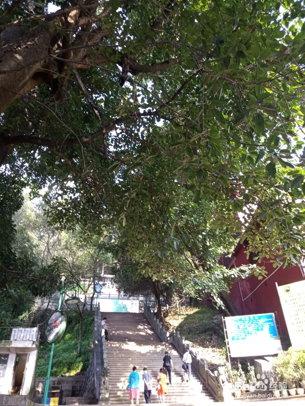 云南游之保山市太保山森林公园