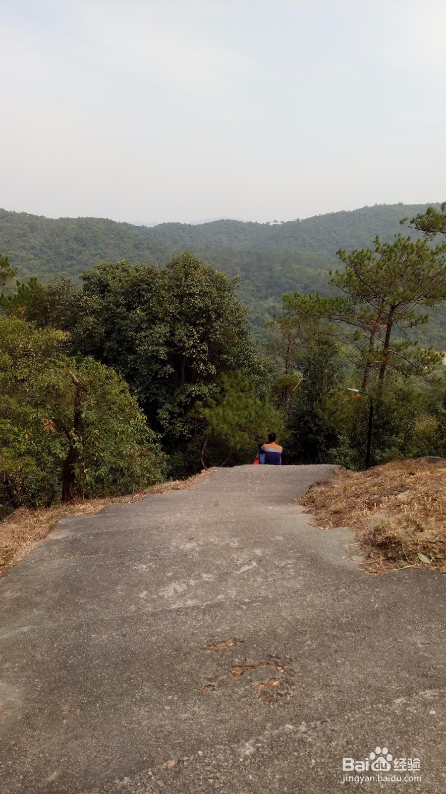 周末徒登芙蓉山