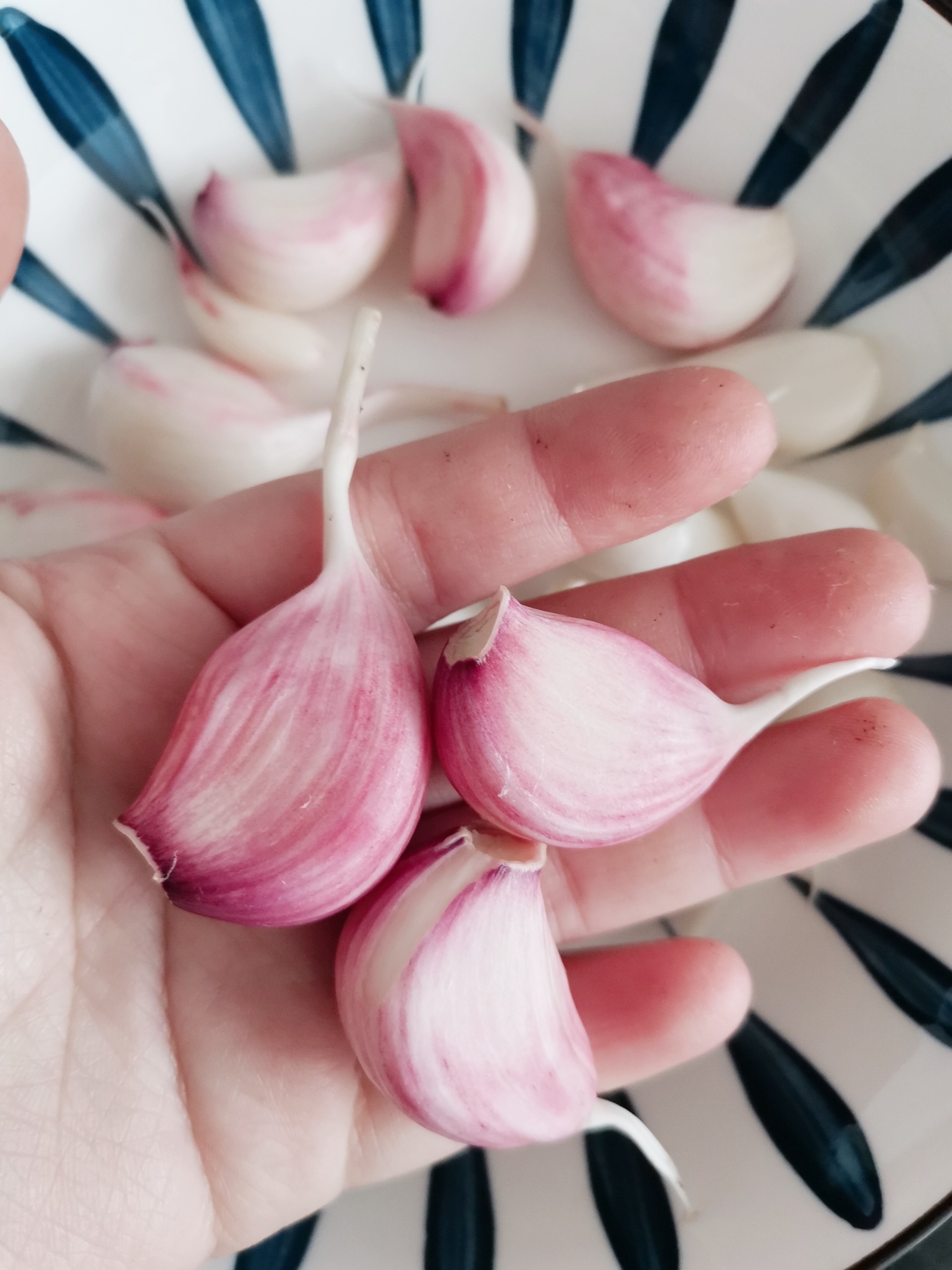 德国人比世界人均寿命高出10岁,他们怎么做到的?4点值得学习