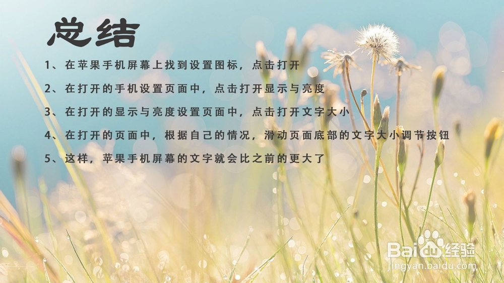 苹果手机屏幕文字太小怎么办?