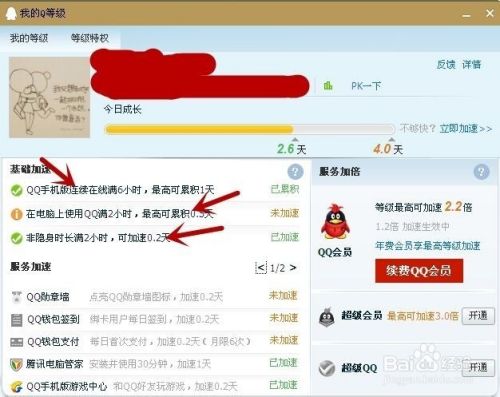 如何在一天内快速升QQ等级攻略