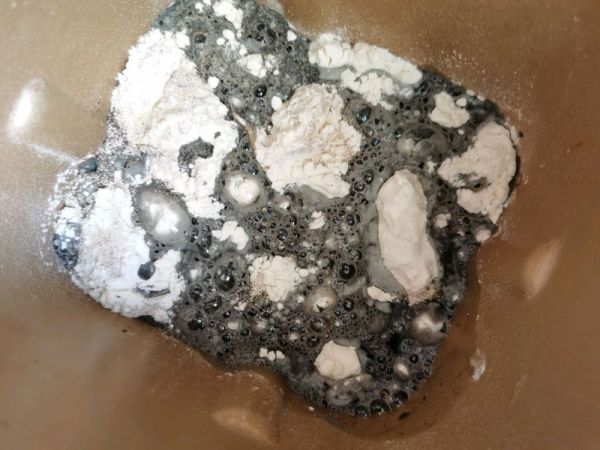 黑色茴香肉包(墨鱼汁版)