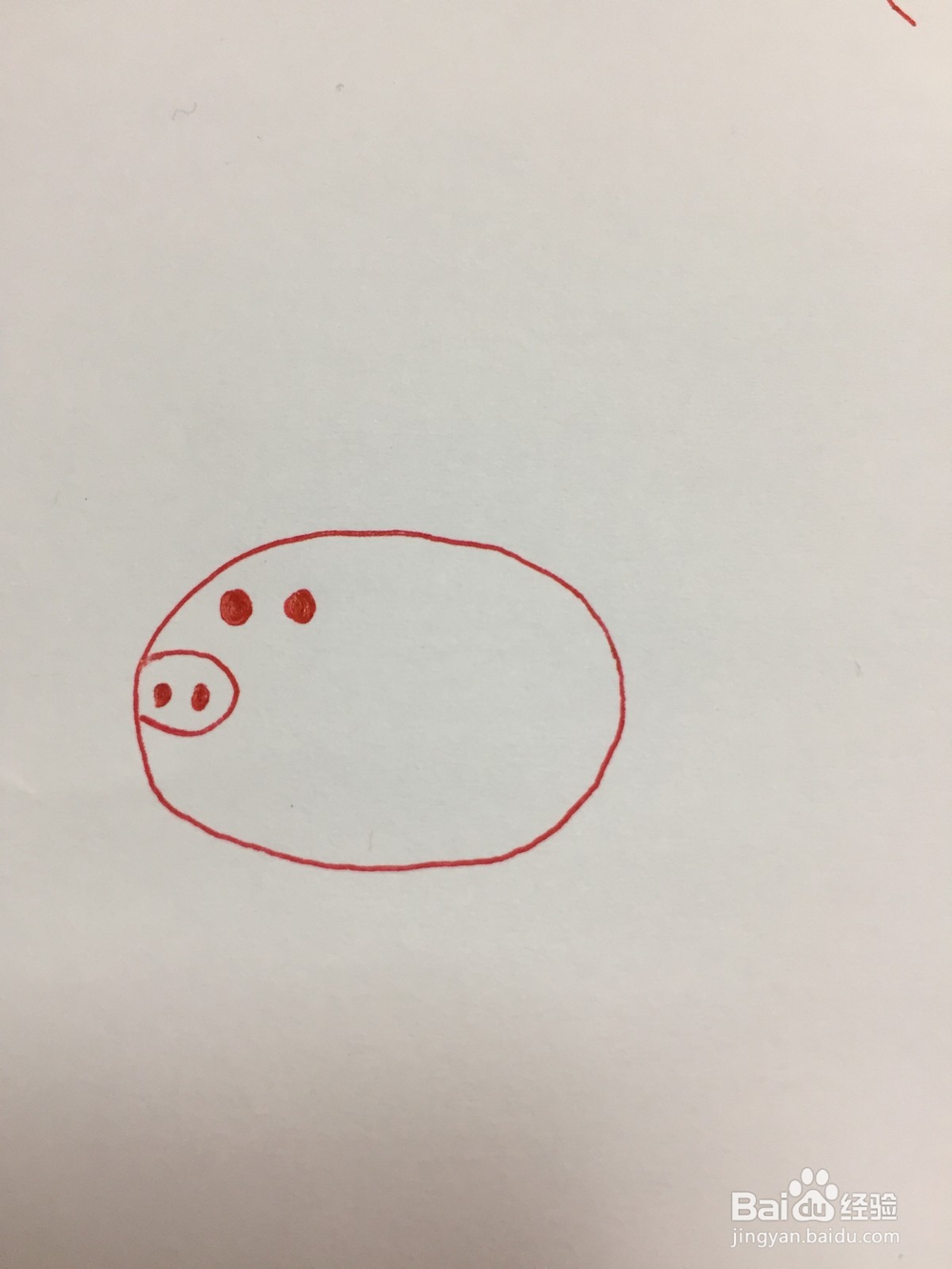 怎么画猪简单好学