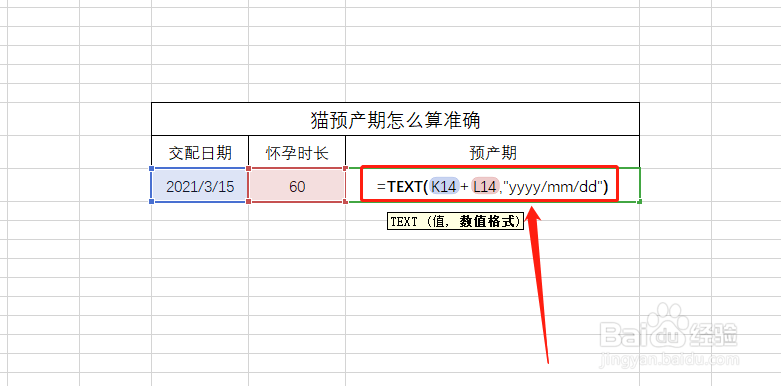 猫预产期怎么算准确