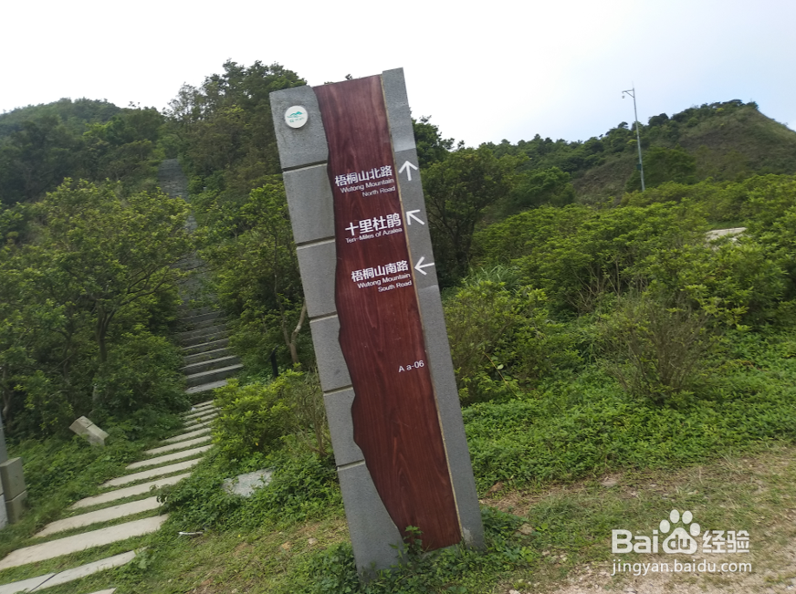 深圳大梧桐游玩路线