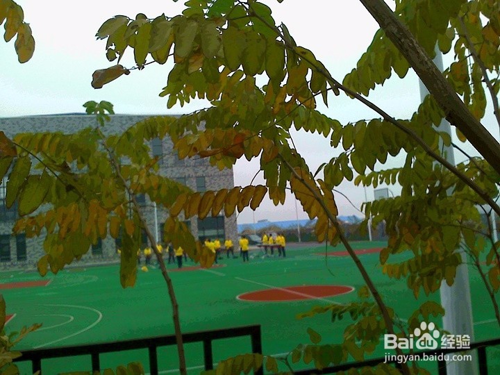 初中学生怎样搞好课外活动