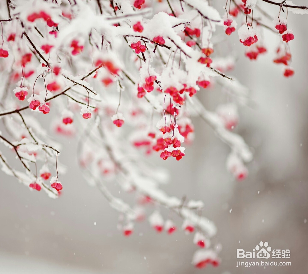 常用生活小妙招