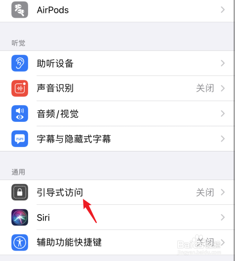 苹果引导式访问设置