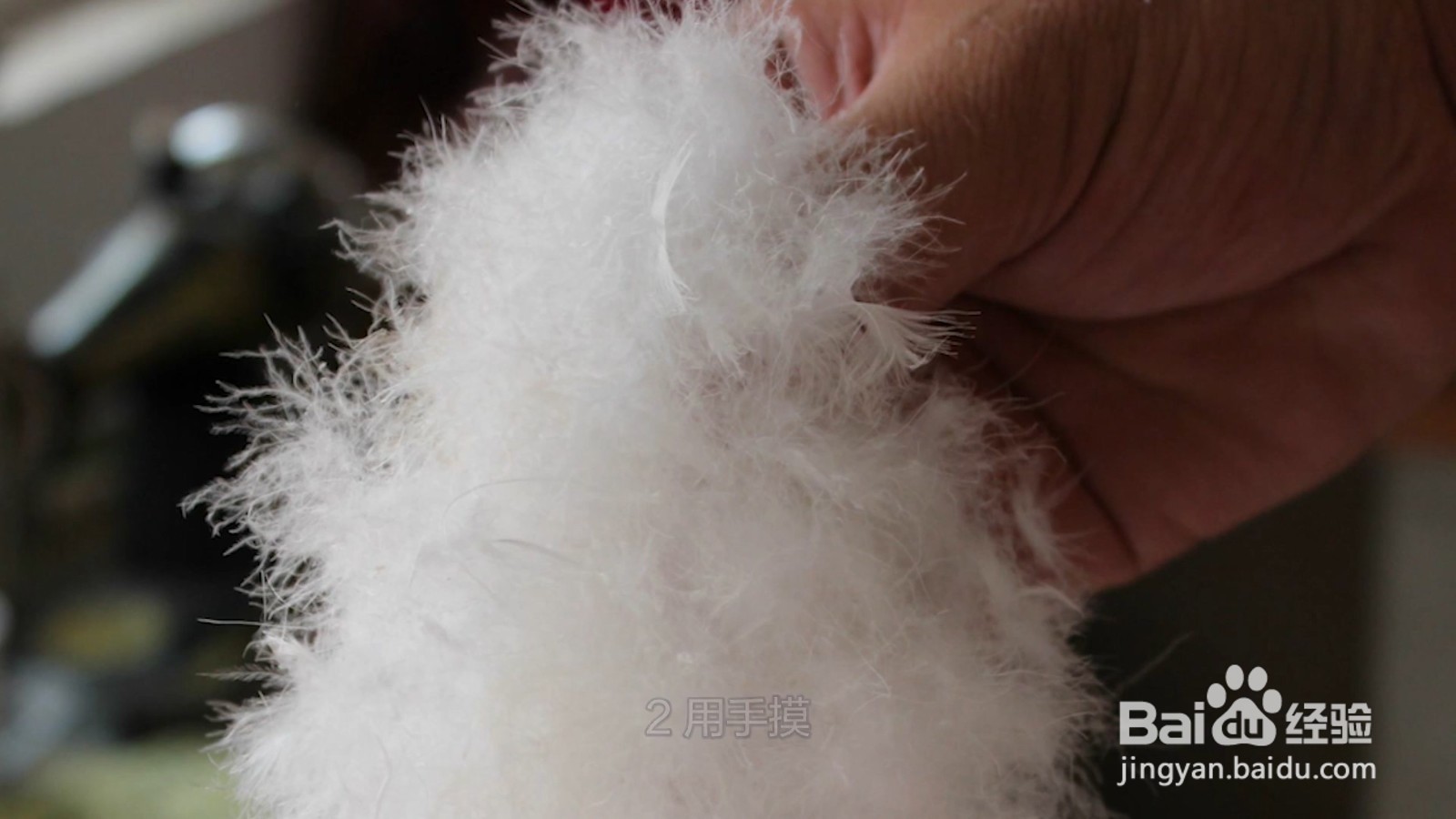 90白鸭绒怎样分辨质量