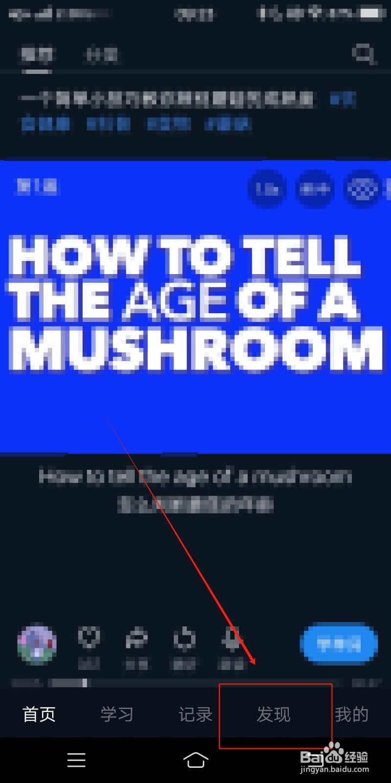 秒熊英语如何查看数码科技