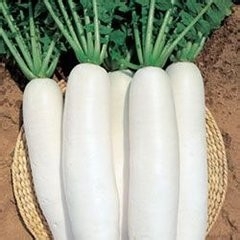 Taime:开年当季的蔬菜千万别买错了