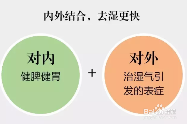 参苓健体粉的基本知识