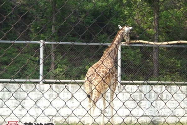 韩国光州牛峙公园旅游攻略